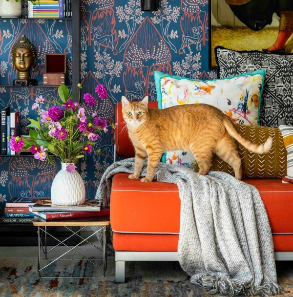 Cat Owner’s Guide to a Clean Home: Tackling Fur and Odors with Ease